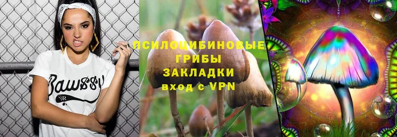 Псилоцибиновые грибы Psilocybine cubensis  Горнозаводск 